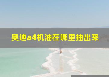 奥迪a4机油在哪里抽出来