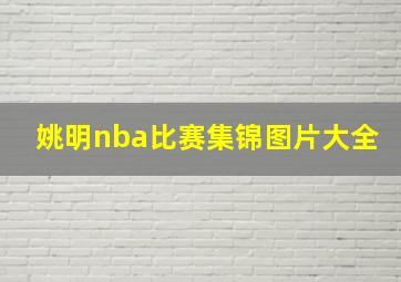 姚明nba比赛集锦图片大全