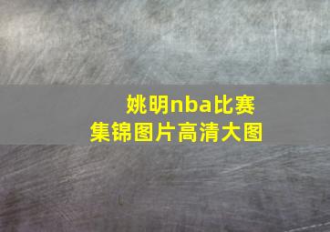 姚明nba比赛集锦图片高清大图