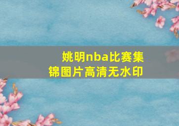 姚明nba比赛集锦图片高清无水印