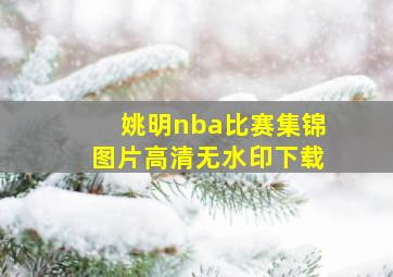 姚明nba比赛集锦图片高清无水印下载