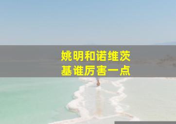 姚明和诺维茨基谁厉害一点