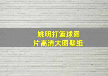 姚明打篮球图片高清大图壁纸