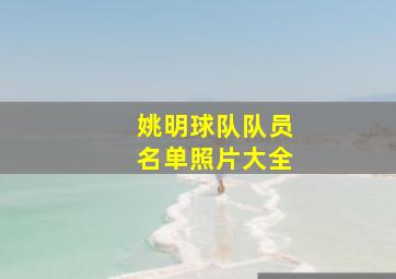 姚明球队队员名单照片大全