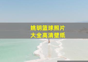 姚明篮球照片大全高清壁纸