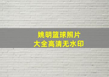 姚明篮球照片大全高清无水印