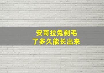 安哥拉兔剃毛了多久能长出来