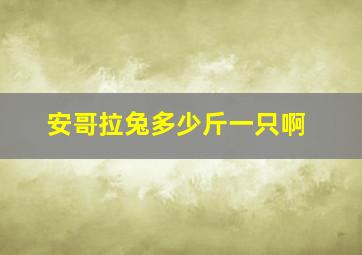 安哥拉兔多少斤一只啊