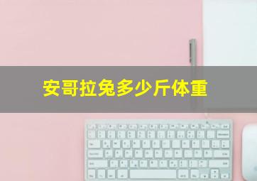 安哥拉兔多少斤体重