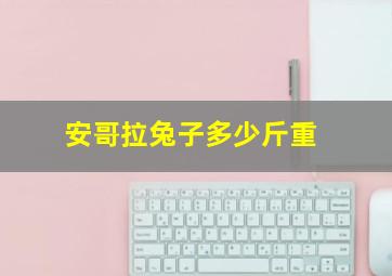 安哥拉兔子多少斤重