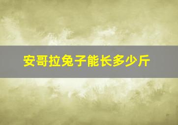 安哥拉兔子能长多少斤