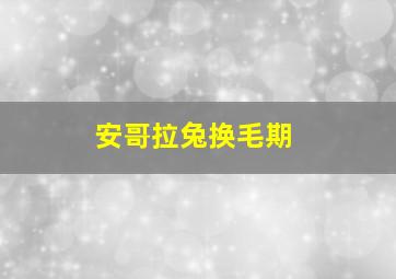 安哥拉兔换毛期