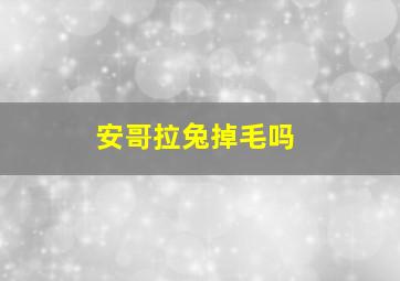 安哥拉兔掉毛吗