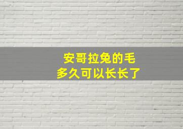 安哥拉兔的毛多久可以长长了