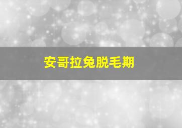 安哥拉兔脱毛期