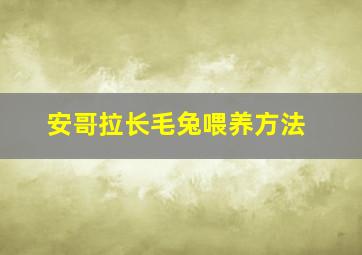 安哥拉长毛兔喂养方法