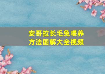 安哥拉长毛兔喂养方法图解大全视频