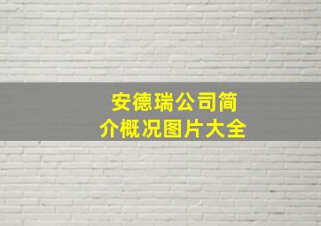 安德瑞公司简介概况图片大全