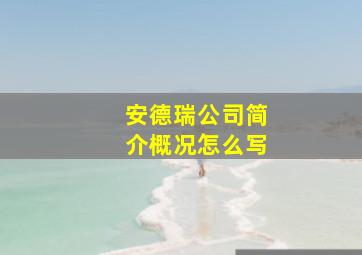 安德瑞公司简介概况怎么写