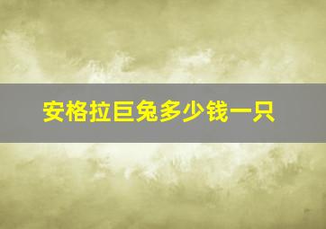 安格拉巨兔多少钱一只