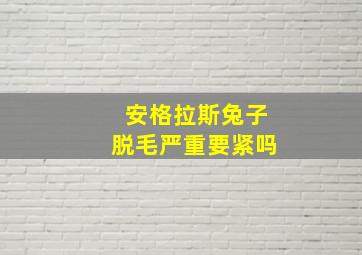 安格拉斯兔子脱毛严重要紧吗