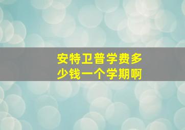 安特卫普学费多少钱一个学期啊