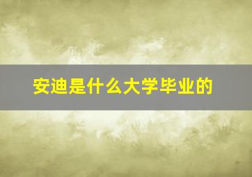 安迪是什么大学毕业的