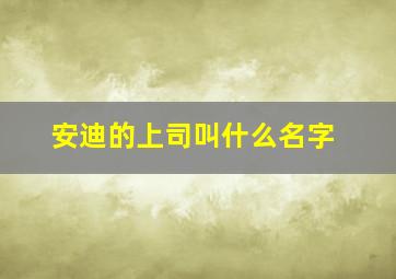 安迪的上司叫什么名字