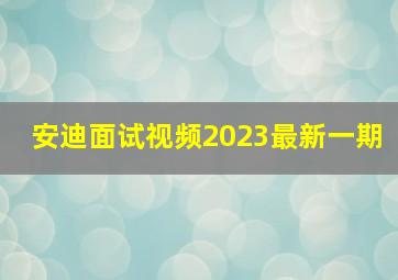 安迪面试视频2023最新一期