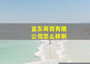 富东商贸有限公司怎么样啊