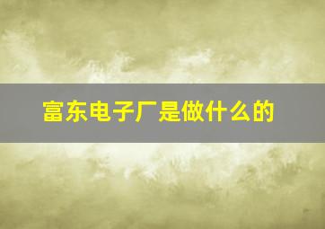 富东电子厂是做什么的