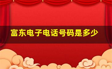 富东电子电话号码是多少