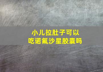 小儿拉肚子可以吃诺氟沙星胶囊吗