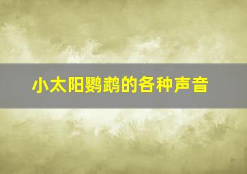 小太阳鹦鹉的各种声音