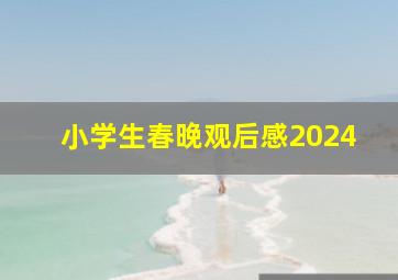 小学生春晚观后感2024