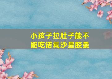 小孩子拉肚子能不能吃诺氟沙星胶囊