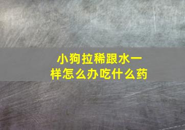 小狗拉稀跟水一样怎么办吃什么药