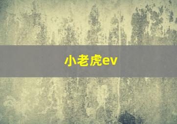 小老虎ev