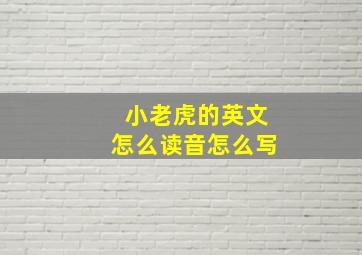 小老虎的英文怎么读音怎么写