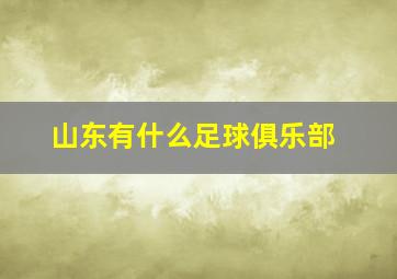 山东有什么足球俱乐部