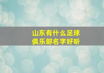 山东有什么足球俱乐部名字好听