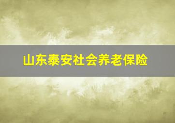 山东泰安社会养老保险