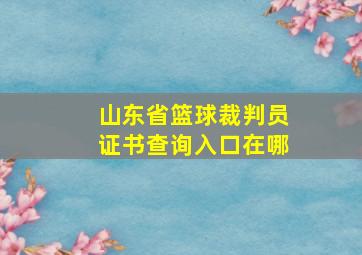 山东省篮球裁判员证书查询入口在哪