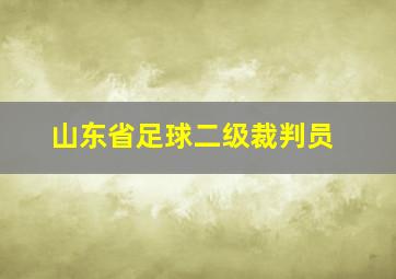 山东省足球二级裁判员