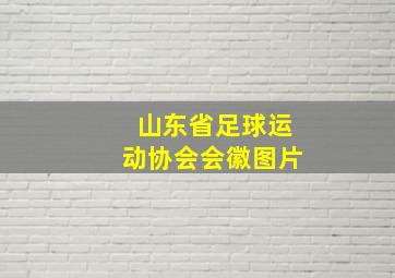 山东省足球运动协会会徽图片