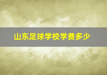 山东足球学校学费多少