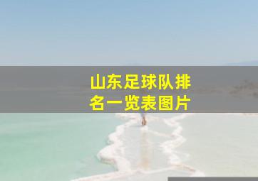 山东足球队排名一览表图片