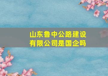 山东鲁中公路建设有限公司是国企吗