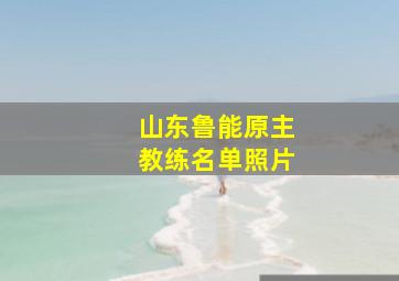 山东鲁能原主教练名单照片