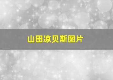 山田凉贝斯图片